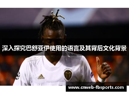 深入探究巴舒亚伊使用的语言及其背后文化背景