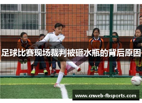 足球比赛现场裁判被砸水瓶的背后原因 足球比赛现场裁判被砸水瓶的背后原因